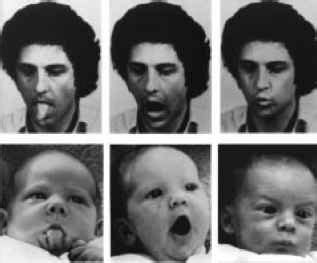 facial imitation in early years.